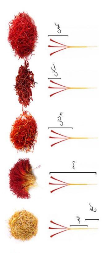 انواع زعفران